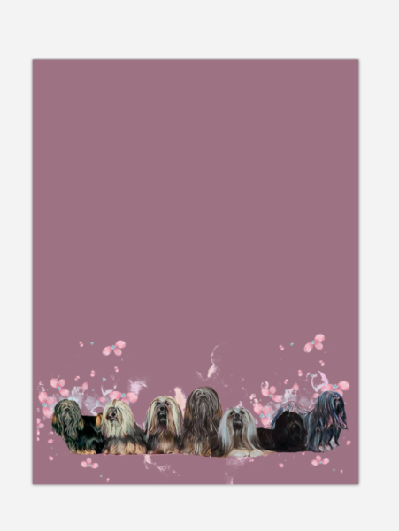 Lhasa Apso Frühlingspaket